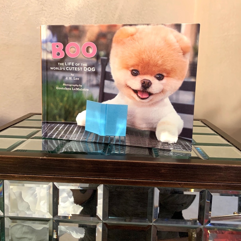 Boo Plush Stuffed Dog & Book Set - Picture 6 of 7